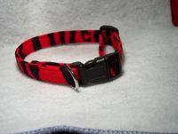 Red Zebra Dog collar